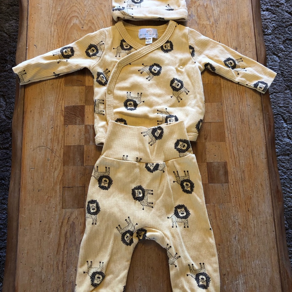 3 PC 0-3 Months Willow + Whimsy By Bon Bébé Infant wear NEVER WORN